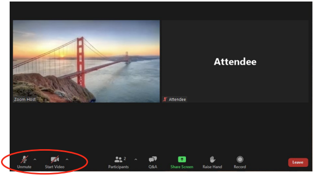 Zoom controls showing Start Video and Unmute buttons
